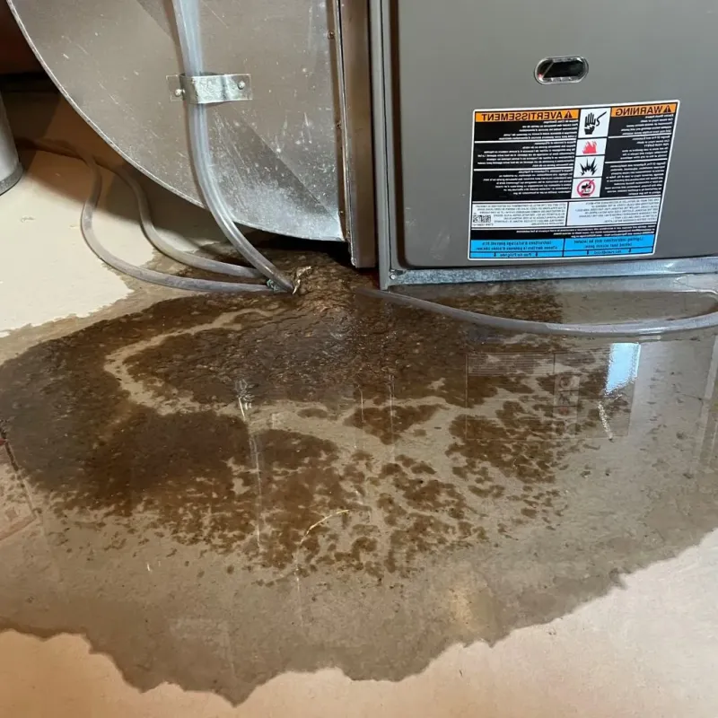 Pipe Burst and Leak Restoration in Hillside, IL