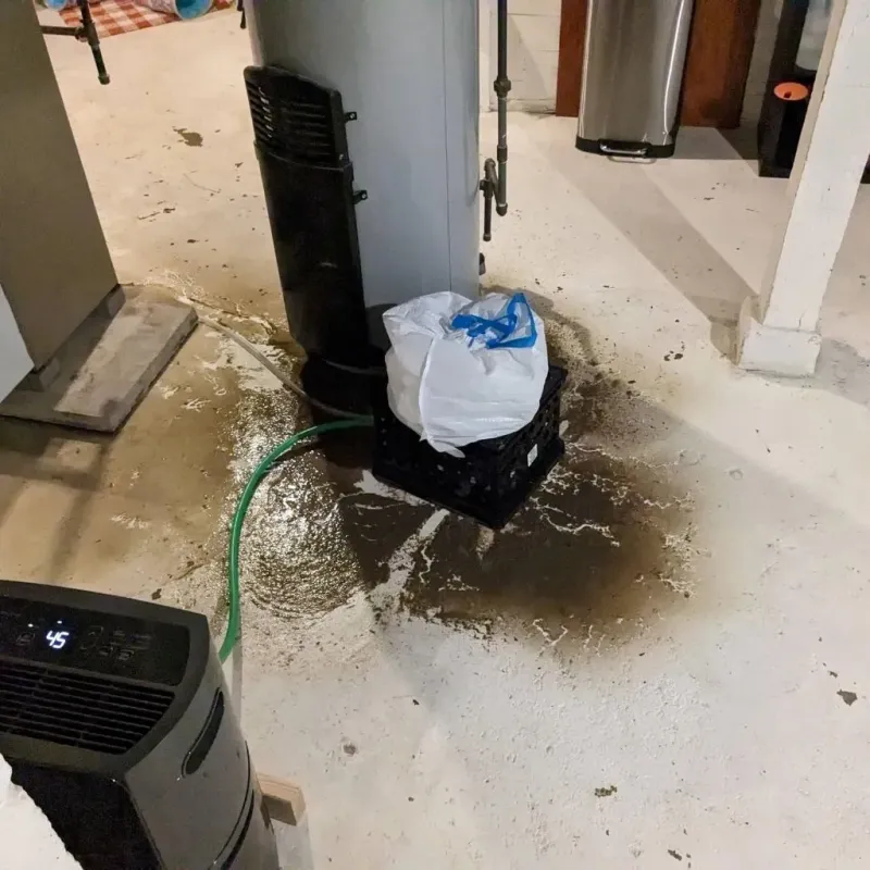 Sewage Backup Cleanup Service in Hillside, IL